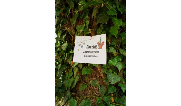 Baum mit Zettel daran, der vor Eichhörnchen warnt, die Zapfen werfen