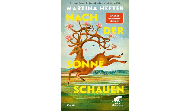 "Nach der Sonne schauen" von Martina Hefter, Buchcover