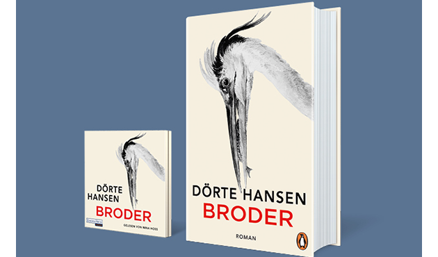 Cover Dörte Hanser: Broder
