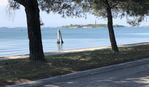 Blick von einem schattigen Uferweg auf eine ruhige Lagune: Zwei große Pinien rahmen das Bild links und rechts ein. Dazwischen glitzert blaues Wasser mit sanften Wellen; nahe der Mitte ragen zwei verwitterte Holzpfähle aus dem Wasser. Am gegenüberliegenden Ufer liegt eine flache Insel mit hellen Gebäuden und einem schlanken Kirchturm.