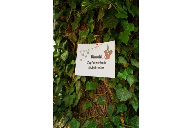 Baum mit Zettel daran, der vor Eichhörnchen warnt, die Zapfen werfen