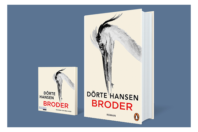 Cover Dörte Hanser: Broder