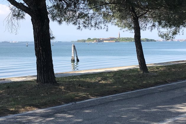 Blick von einem schattigen Uferweg auf eine ruhige Lagune: Zwei große Pinien rahmen das Bild links und rechts ein. Dazwischen glitzert blaues Wasser mit sanften Wellen; nahe der Mitte ragen zwei verwitterte Holzpfähle aus dem Wasser. Am gegenüberliegenden Ufer liegt eine flache Insel mit hellen Gebäuden und einem schlanken Kirchturm.