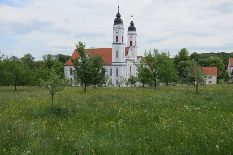Kloster Irsee mit grüner Wiese