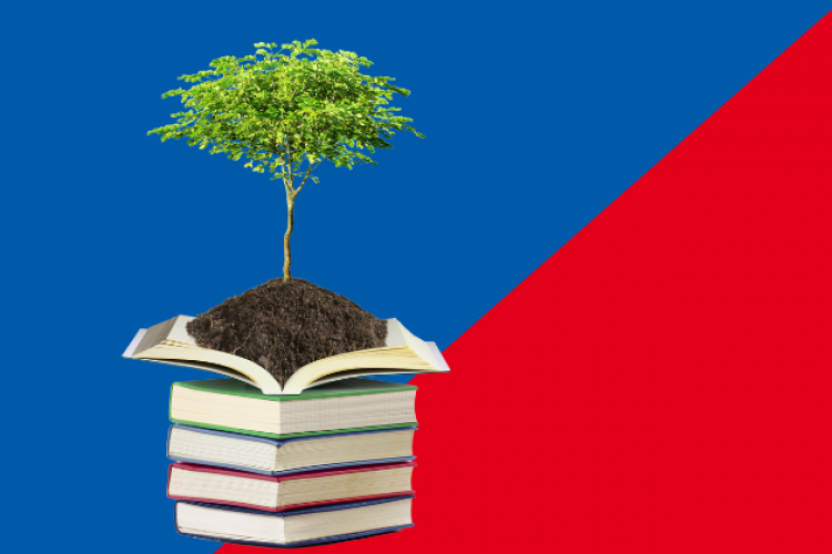 Ein Bücherstapel, darauf Erde und ein kleiner Baum