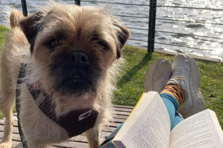 Bücherhund Räude am Wasser