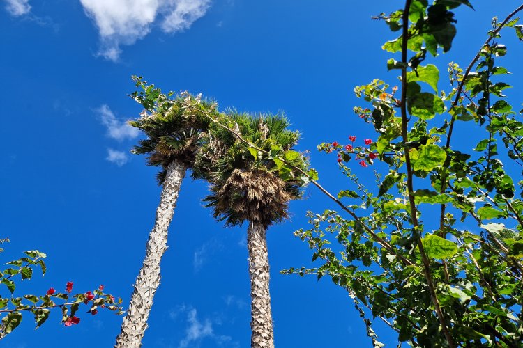 In den Himmel geschaut auf Lanzarote