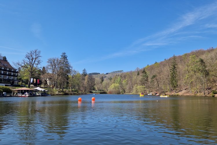 Der Schmelzteich in Bad Sachsa im Südharz