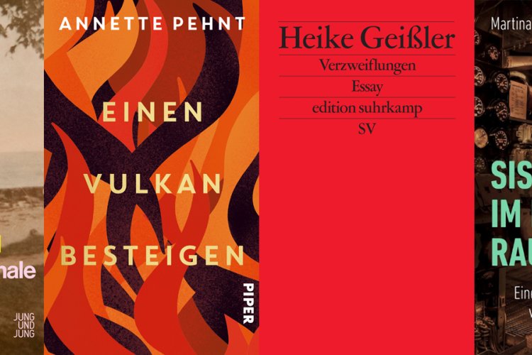 Cover der sechs für den Bayerischen Buchpreis 2025 nominierten Titel