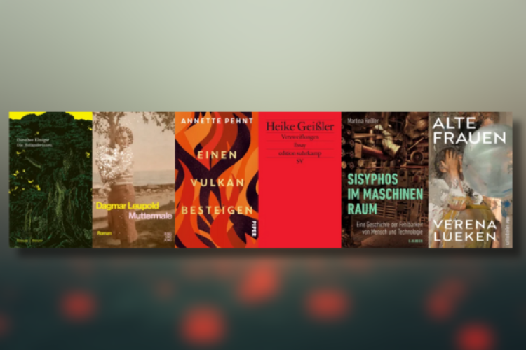 6 Buchcover der nominierten Bücher