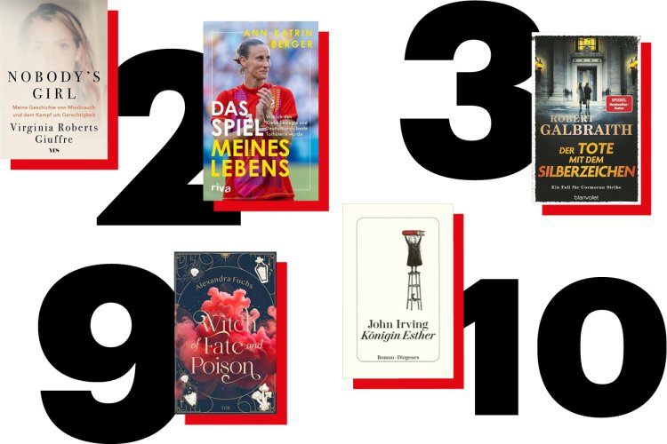 Collage mit fünf Covern von Neueinsteigern in den Charts