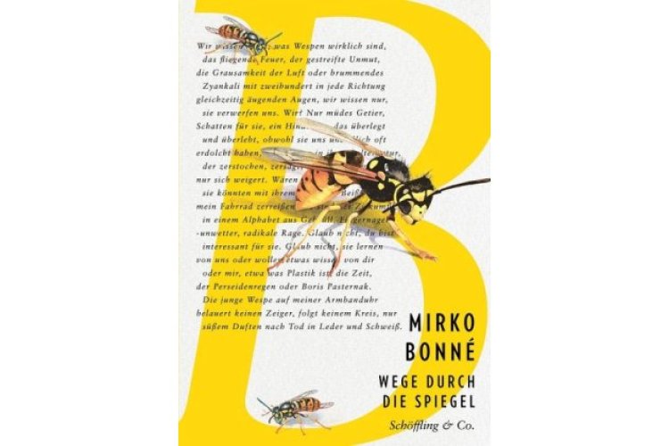 Cover des Gedichtbands "Wege durch die Spiegel" von Mirko Bonné