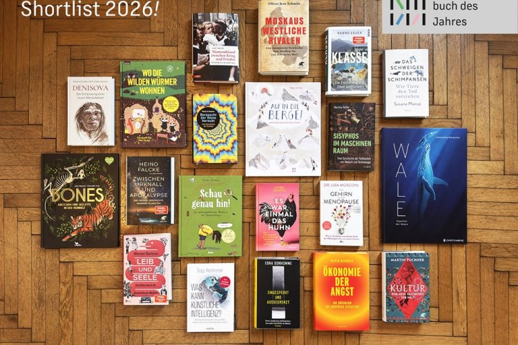 20 Bücher frontal auf Parkettboden präsentiert