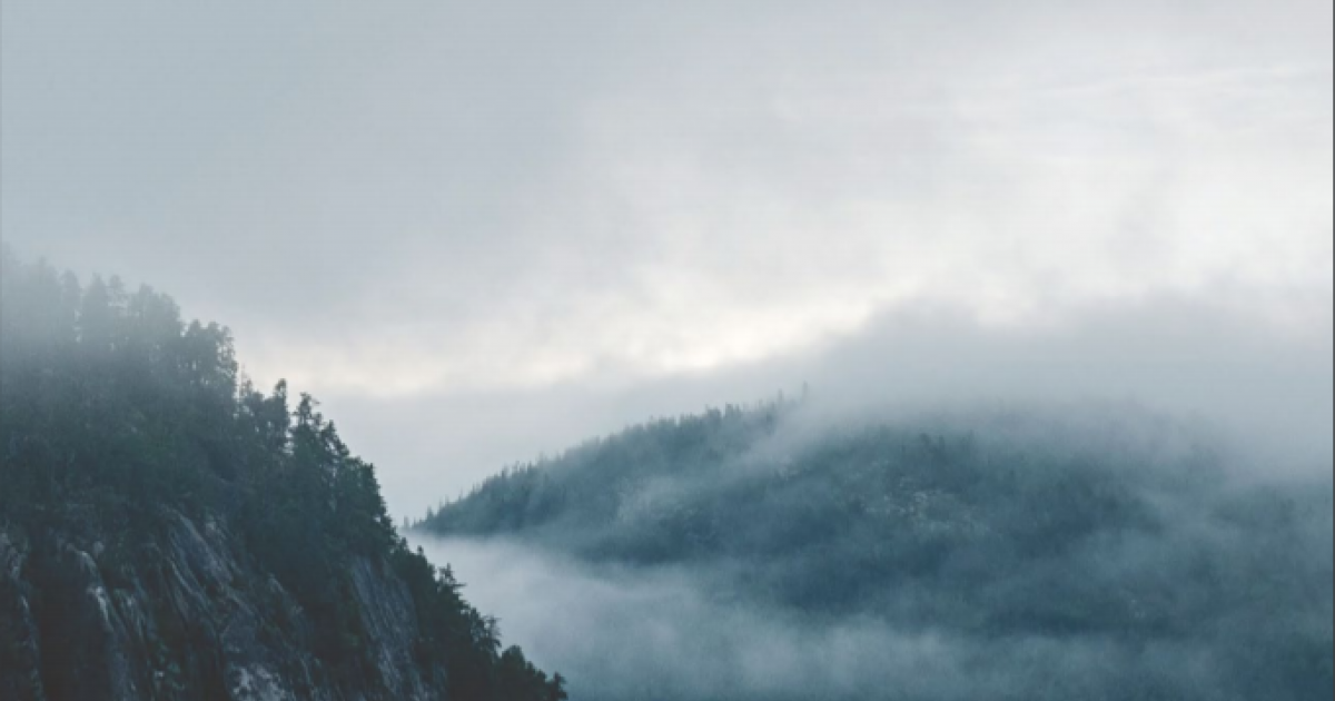 Einblicke in die kanadische Literatur Einblicke in die kanadische Literatur