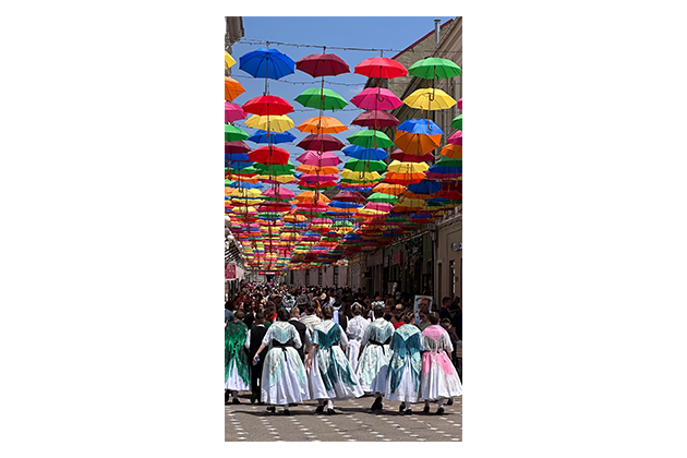 Banater Tracht, Temeswar