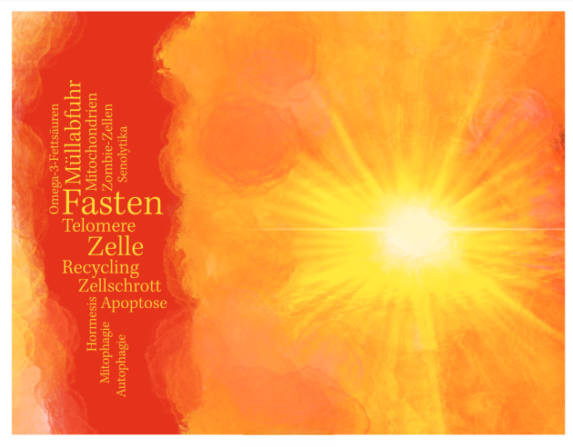 Innenansichten Healthy 2