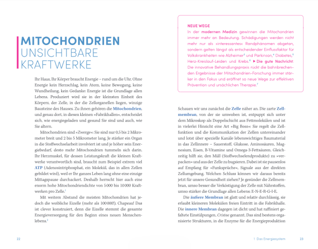 Innenansichten Healthy 3