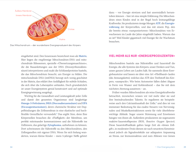 Innenansichten Healthy 4
