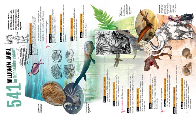 Check den Survival Code, Evolution