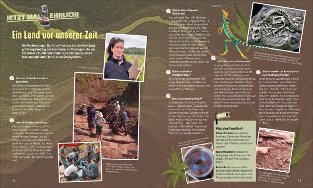 Check den Survival Code, Evolution 2