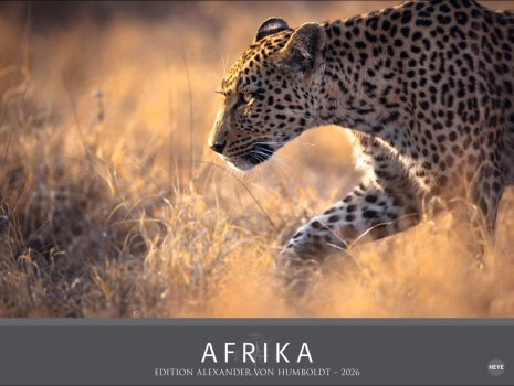 Deckblatt von "Afrika 2026" mit einem Leoparden auf der Pirsch