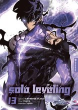 Cover: Solo Leveling 13