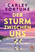 Cover: Der Sturm zwischen uns