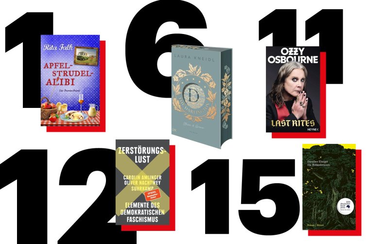 Collage mit fünf Covern von Neueinsteigern in den Charts